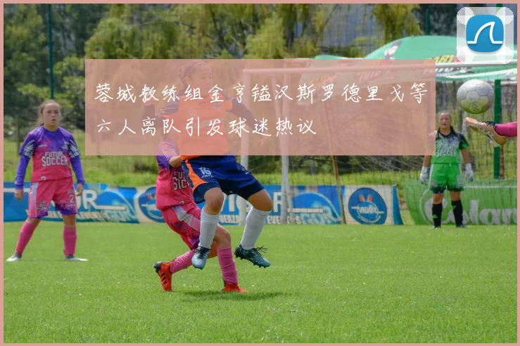 蓉城教练组金亨镒汉斯罗德里戈等六人离队引发球迷热议