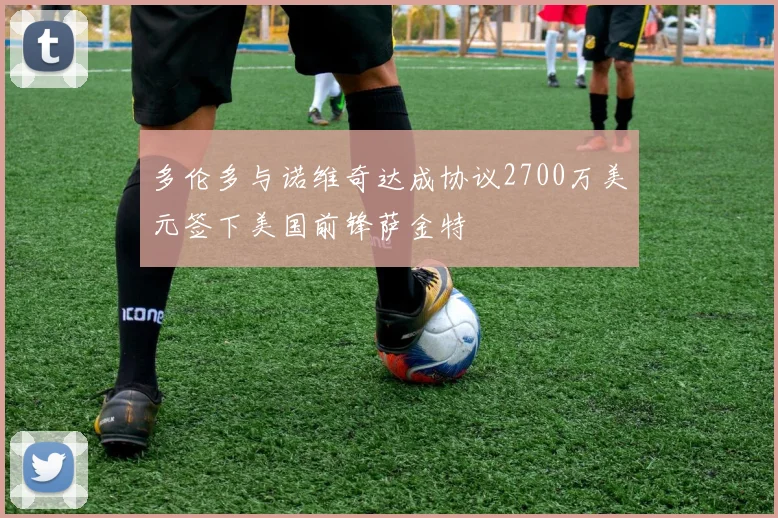 多伦多与诺维奇达成协议2700万美元签下美国前锋萨金特