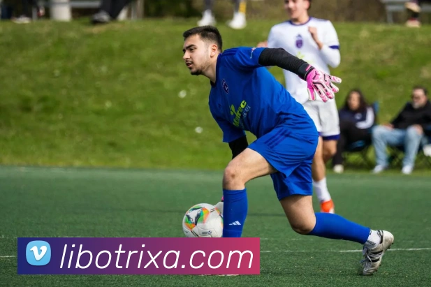 立博体育APP 封面图